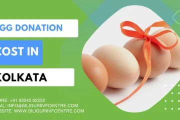 Egg Donation Cost in Kolkata