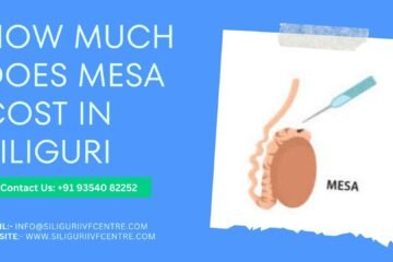 Mesa Cost in Siliguri