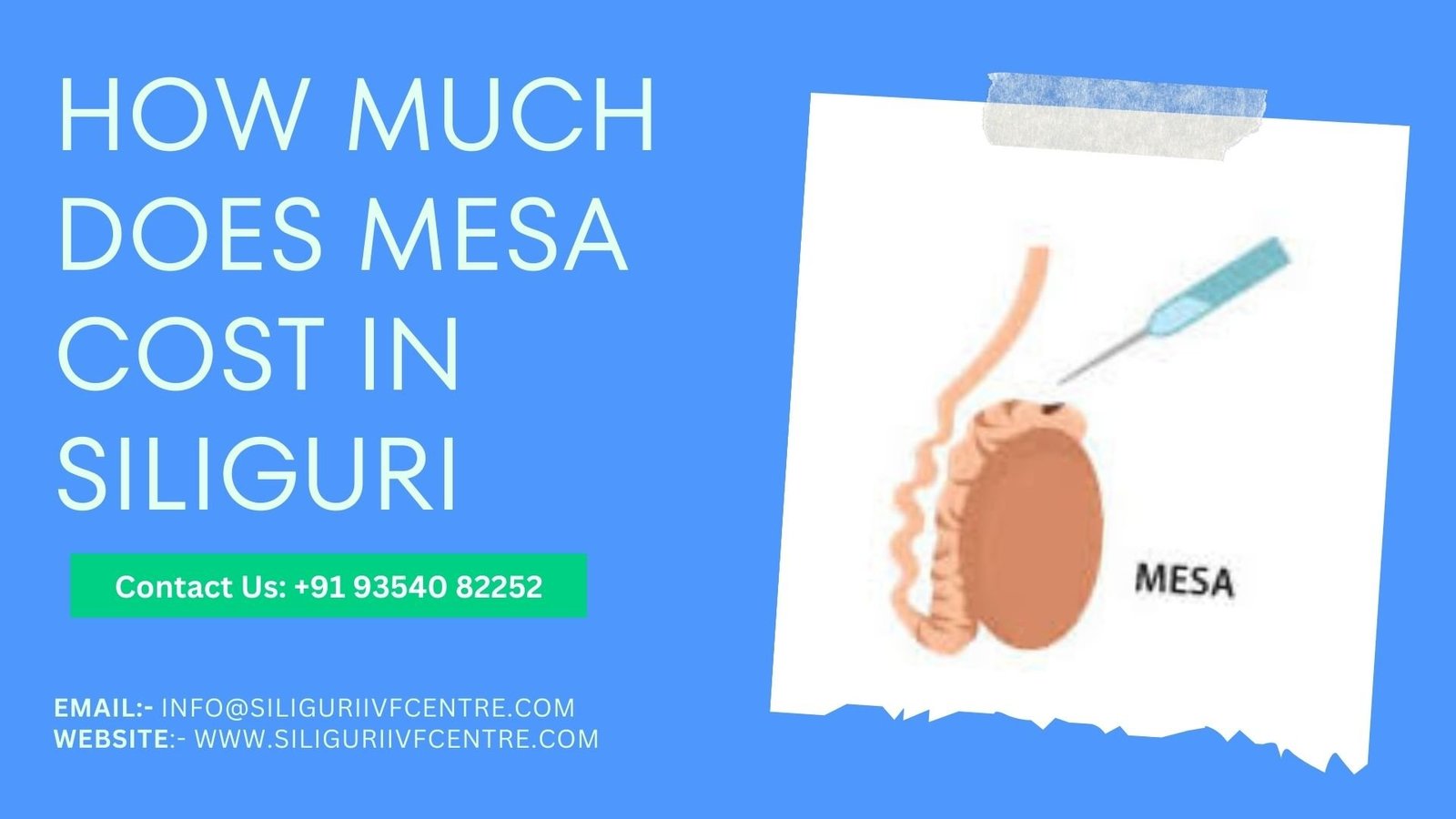 Mesa Cost in Siliguri