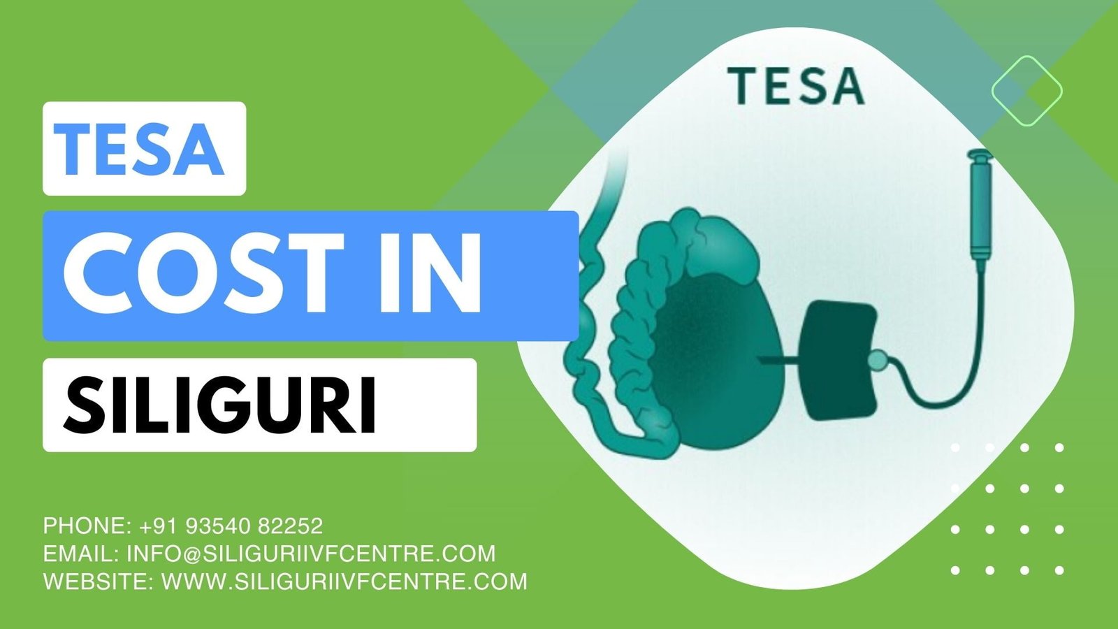 Tesa Cost in Siliguri