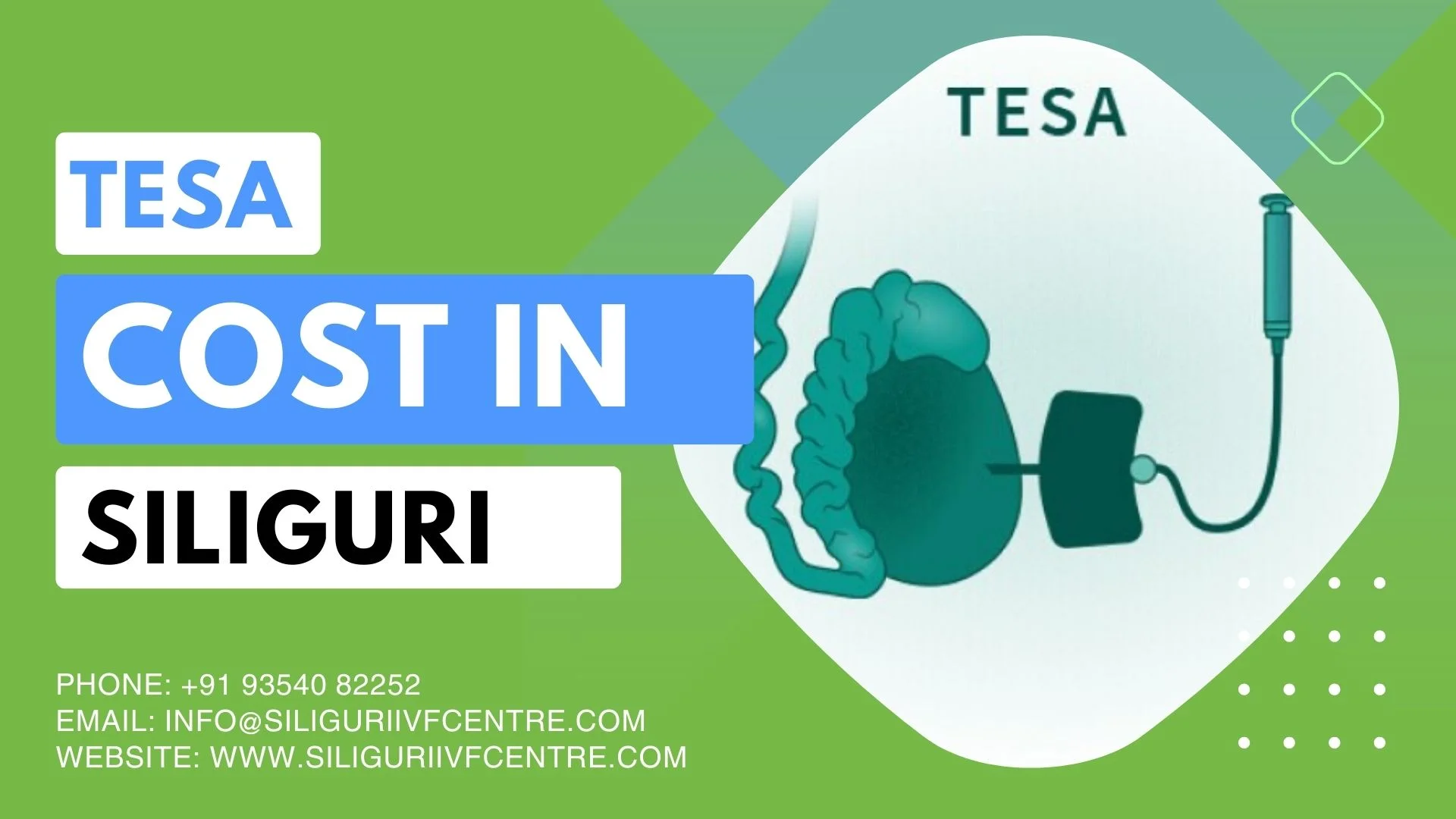Tesa Cost in Siliguri