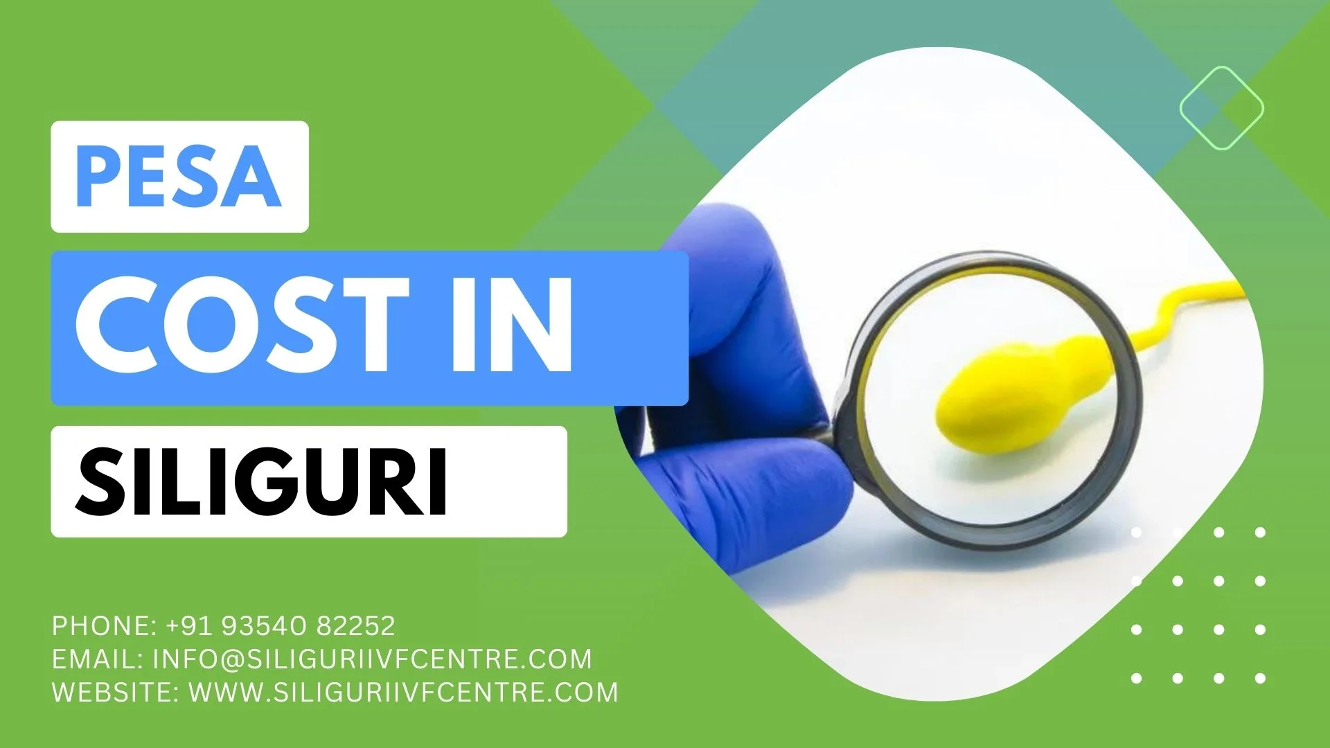 pesa cost in siliguri