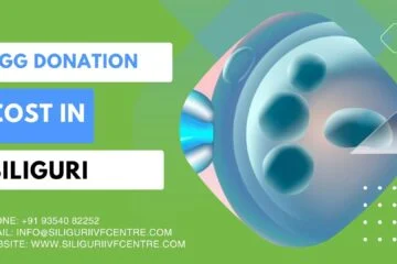 Egg donation cost in Siliguri