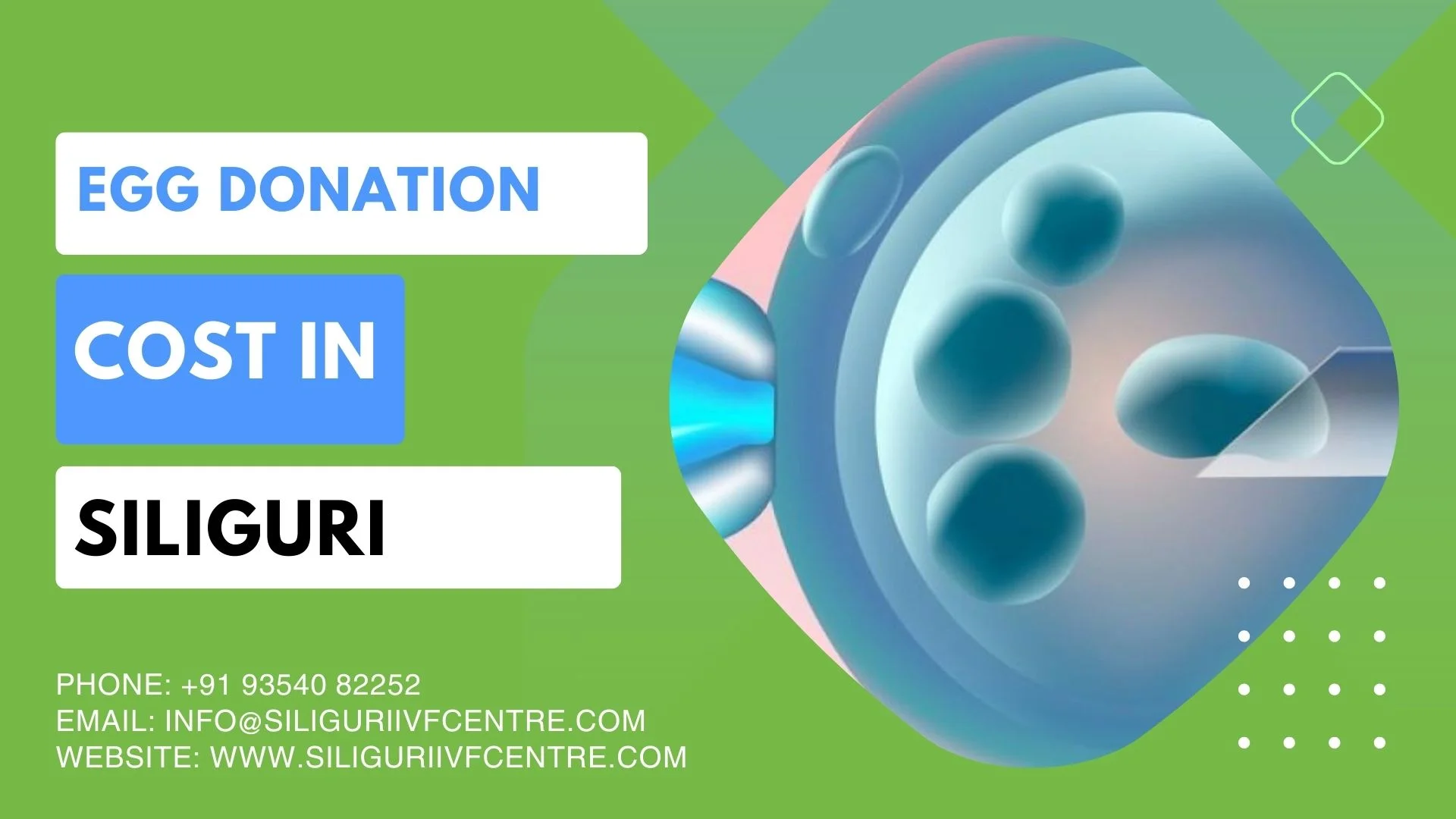 Egg donation cost in Siliguri
