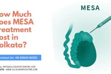 Mesa cost in Kolkata