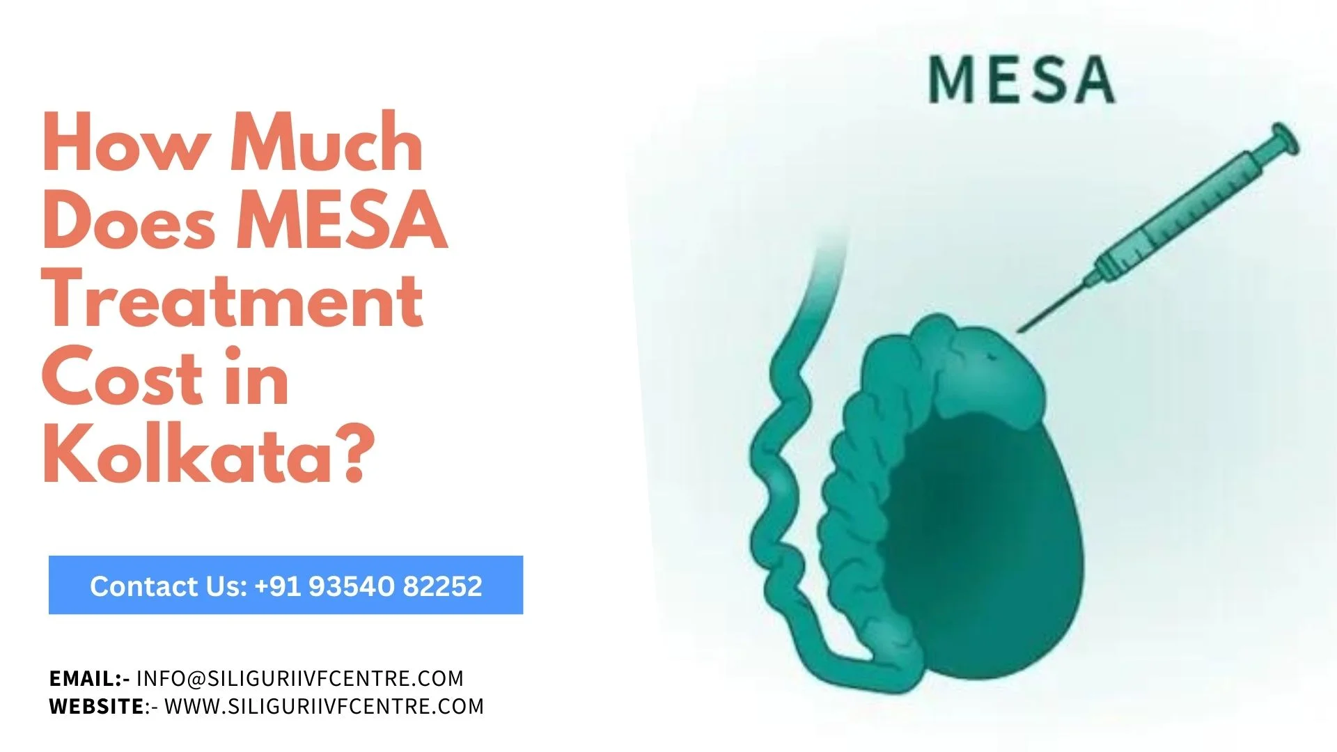 Mesa cost in Kolkata