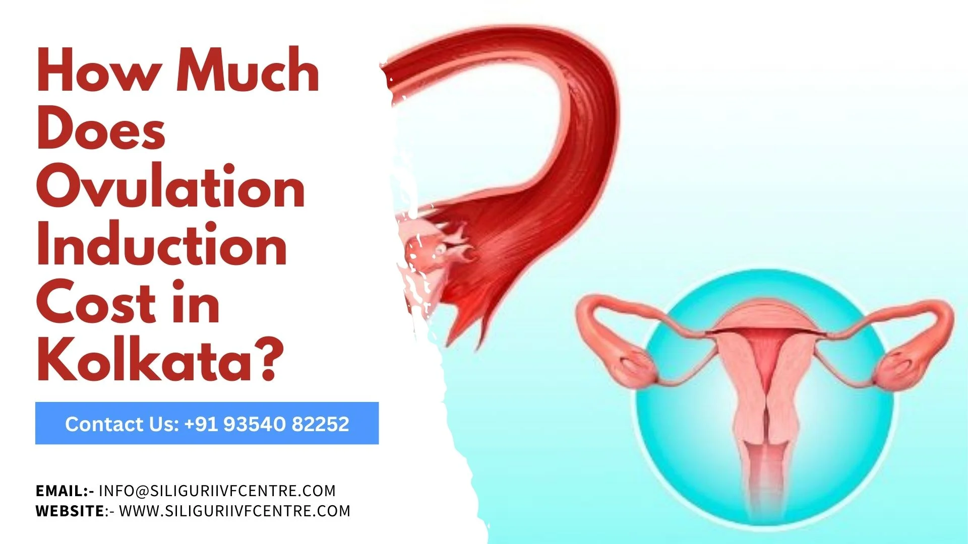 Ovulation Induction cost in Kolkata