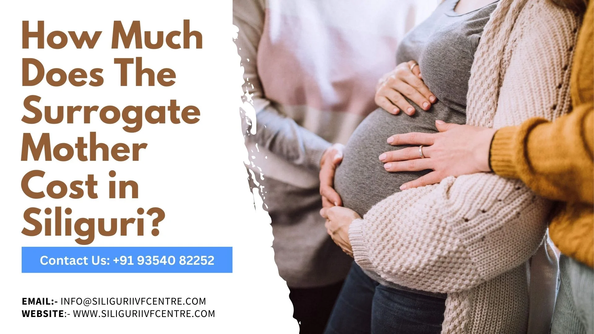 Surrogate Mother Cost in Siliguri