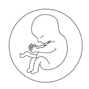 Home Siliguri IVF Centre